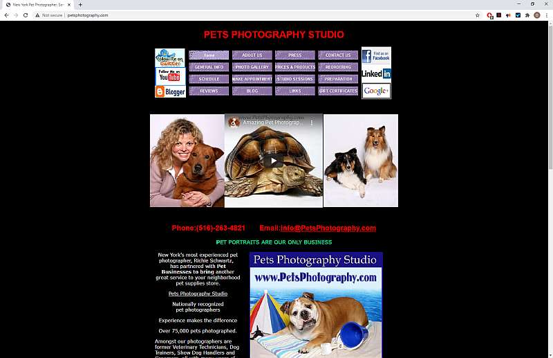 Pets Photography Studio